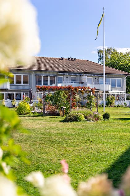 Bild av trädgården