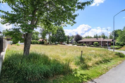 Bild av trädgården