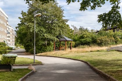 Bild av trädgården