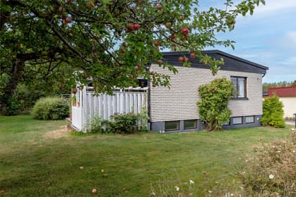 Bild av trädgården