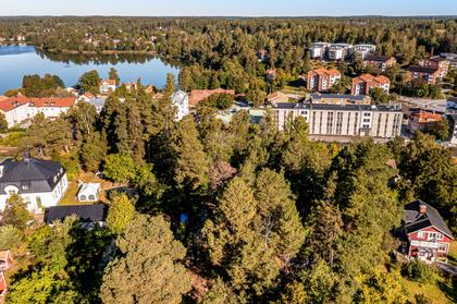 Bild av trädgården