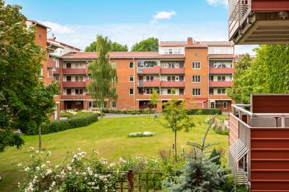 Bild av trädgården