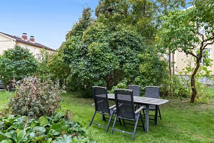 Bild av trädgården