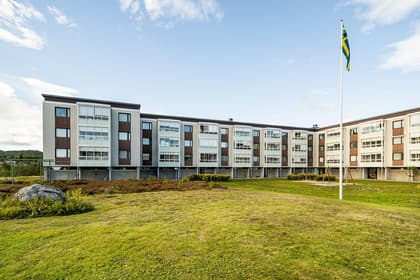 Bild av trädgården