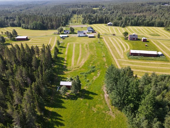 Tjärnberg 10, Malå