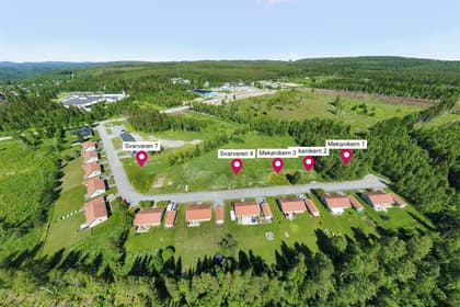 Bild av trädgården