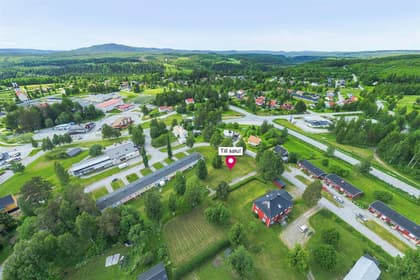 Bild av trädgården