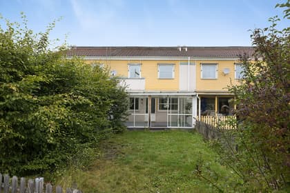 Bild av trädgården