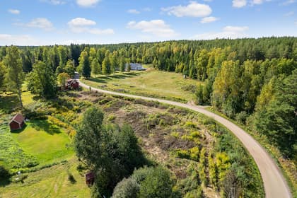 Bild av trädgården