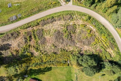 Bild av trädgården