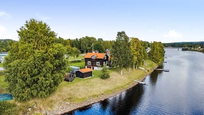 Bild av trädgården