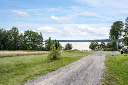 Bild av trädgården