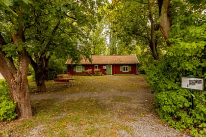 Bild av trädgården