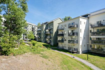 Bild av trädgården