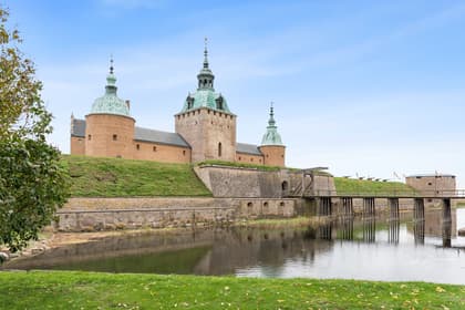 Bild av trädgården