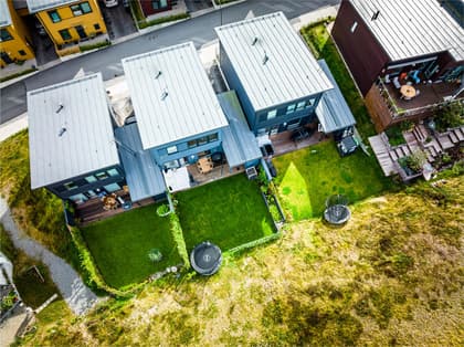 Bild av trädgården