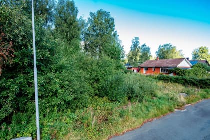 Bild av trädgården