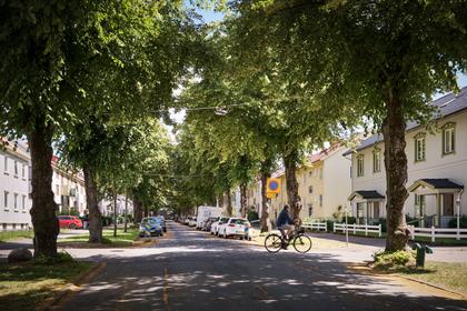 Bild av närområdet