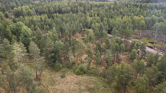 Talldungen Årby 51, Hallstahammar