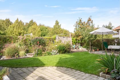 Bild av trädgården