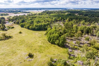 Bild av trädgården