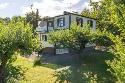 Bild av trädgården