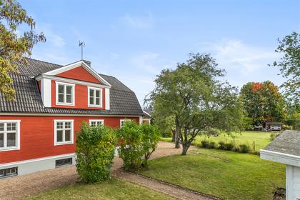 Bild av trädgården