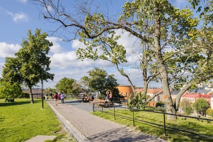 Bild av trädgården