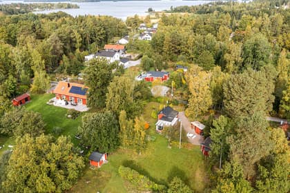 Bild av trädgården