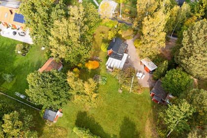 Bild av trädgården