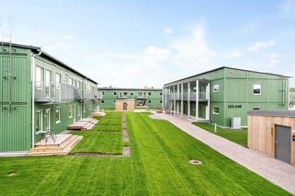 Bild av trädgården