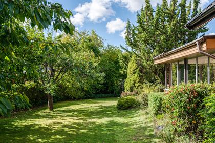 Bild av trädgården