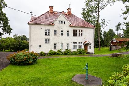 Bild av trädgården