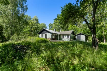 Bild av trädgården