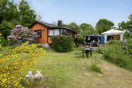 Bild av trädgården