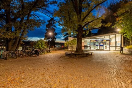 Bild av trädgården