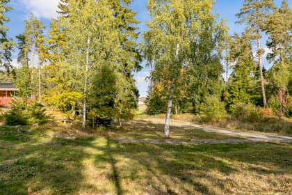 Bild av trädgården