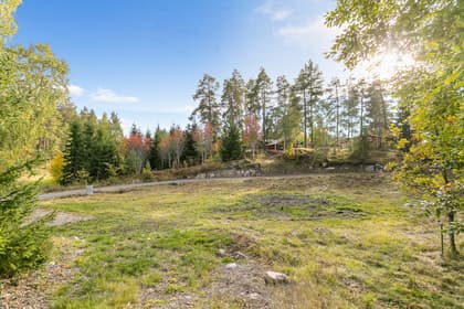 Bild av trädgården