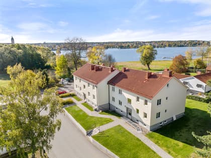 Bild av trädgården