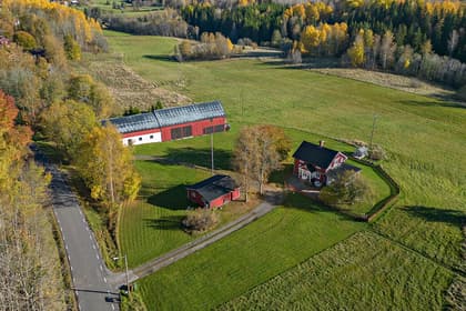 Bild av trädgården