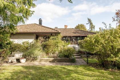 Bild av trädgården