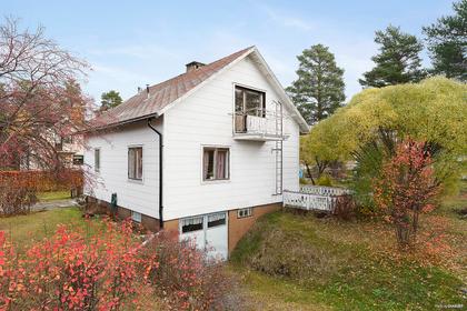 Bild av trädgården