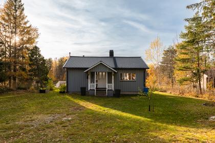 Bild av trädgården