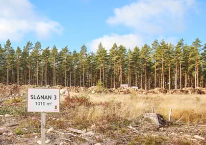 Bild av trädgården