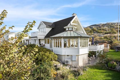 Bild av trädgården