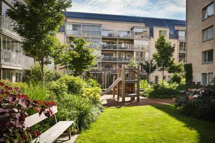 Bild av trädgården