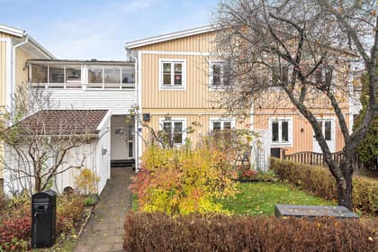 Bild av trädgården