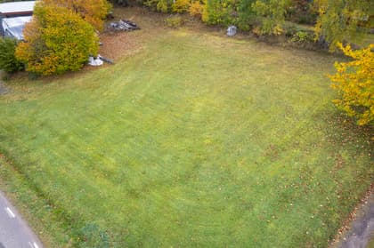 Bild av trädgården