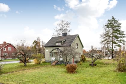 Bild av trädgården