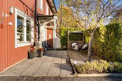 Bild av trädgården